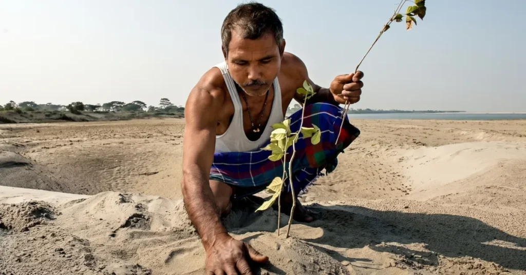 Jadav Payeng planting a young tree seedling by hand in the sandy Brahmaputra riverbed in Assam